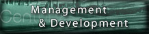 Management & Development