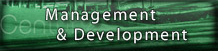 Management & Development