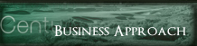 Business Approach